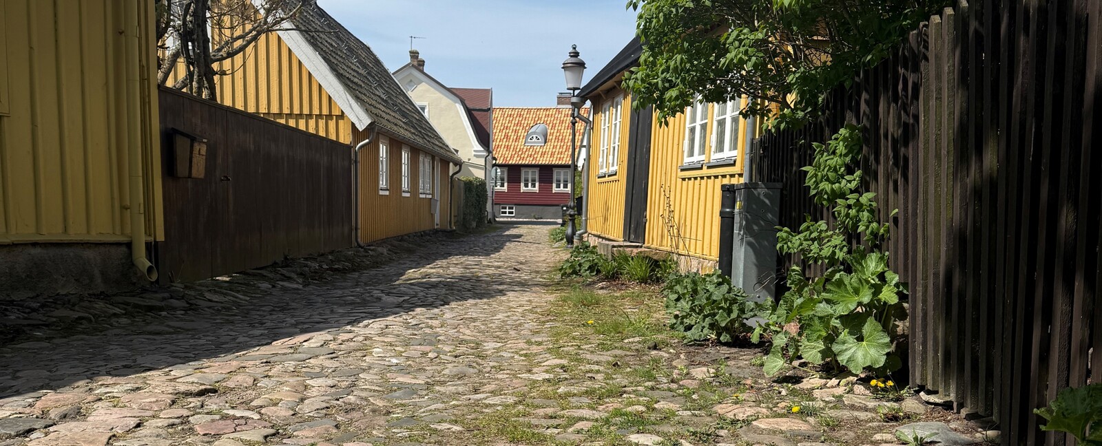 bannerbg